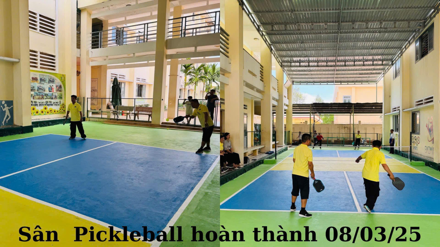 Sân Pickerbal của trường